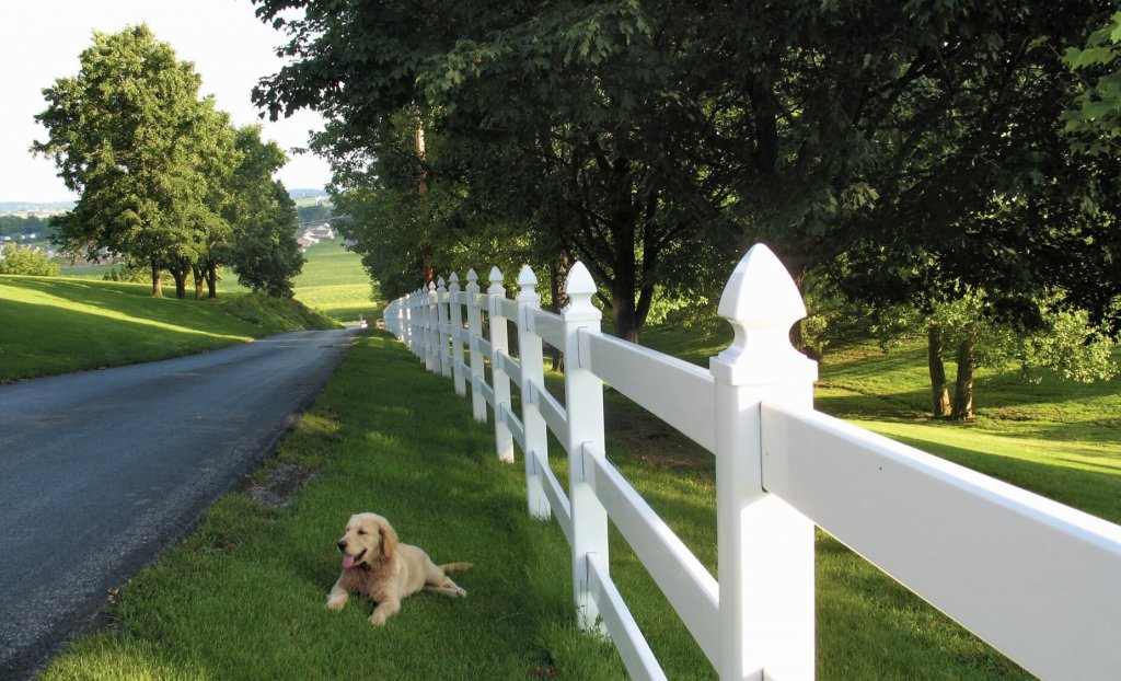 Ranch Rail Fencing 