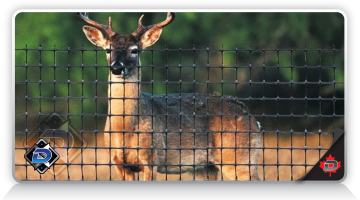 Regina & S.E. Sask Deer Fence Canad