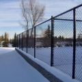 Residential Black Powder Coated Chain-link Fence