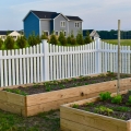 Rothbury Concave Picket Fencing